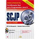 Certificação Sun para Programador Java 6