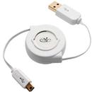 Cabo Integris C192J USB A x Mini 5 PIN