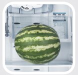 Refrigerador Electrolux DWX51 Prateleira Retrátil Refrigerador